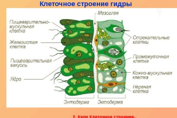 Кракен макет даркнет только через тор