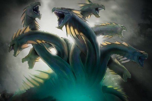 Kraken 17 at net