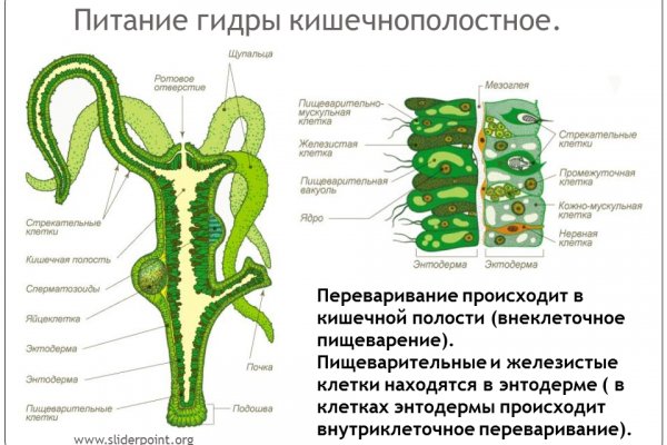 Кракен дарк сайт