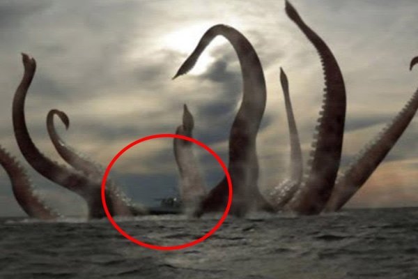 Kraken 19 at сайт