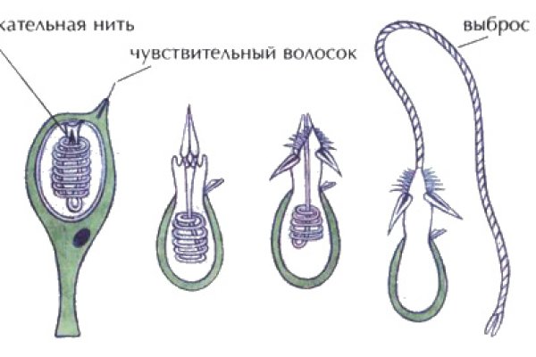 Регистрация на сайте кракен
